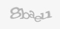 Beveiligingscode