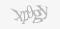 Beveiligingscode